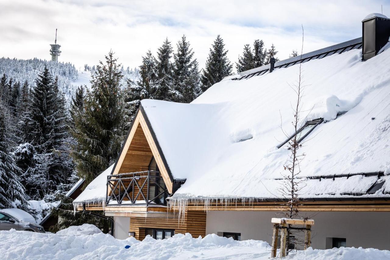 Ski Chalet Klínovec Loučná pod Klínovcem Exterior foto