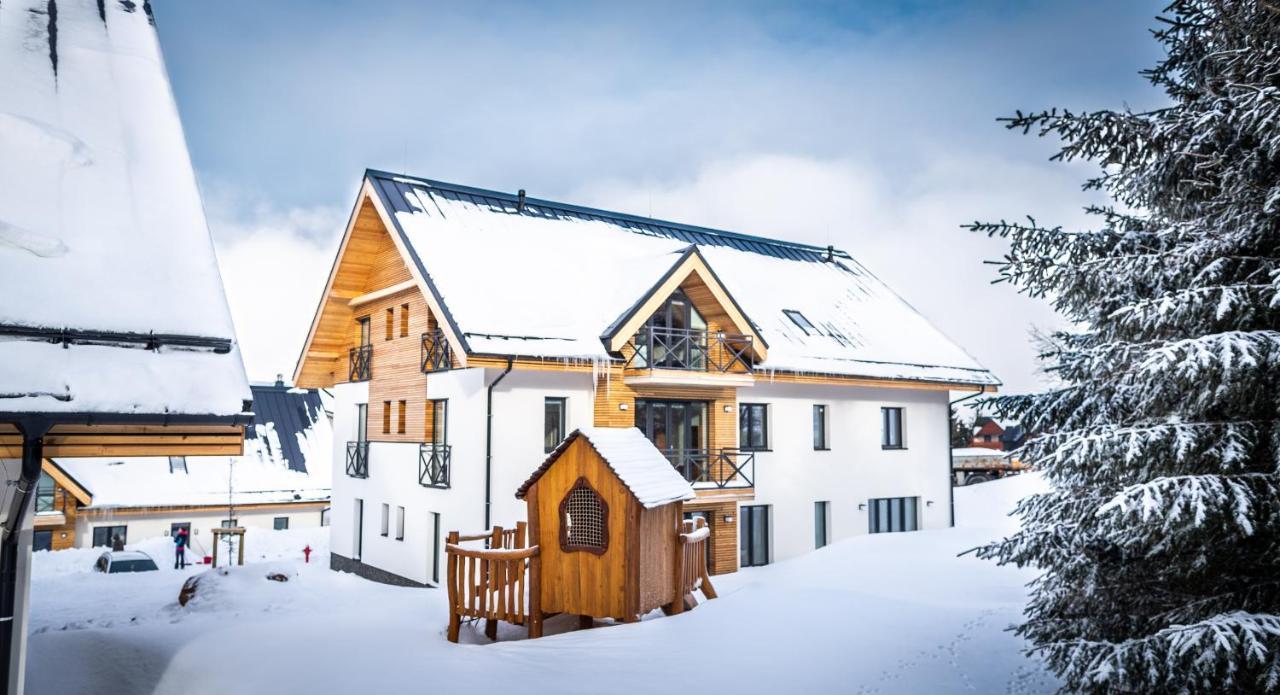 Ski Chalet Klínovec Loučná pod Klínovcem Exterior foto