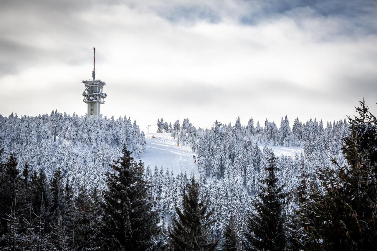 Ski Chalet Klínovec Loučná pod Klínovcem Exterior foto
