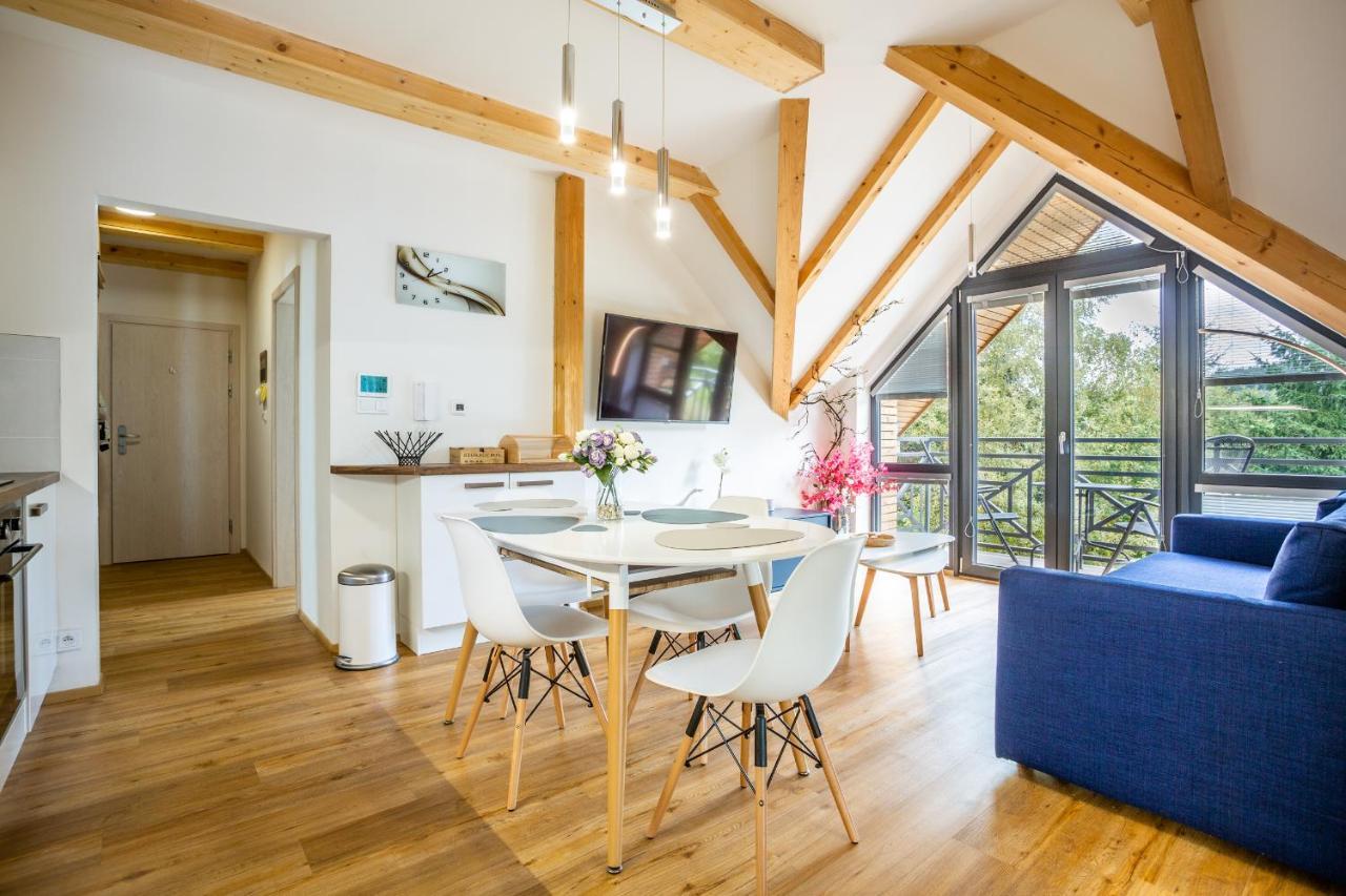 Ski Chalet Klínovec Loučná pod Klínovcem Exterior foto